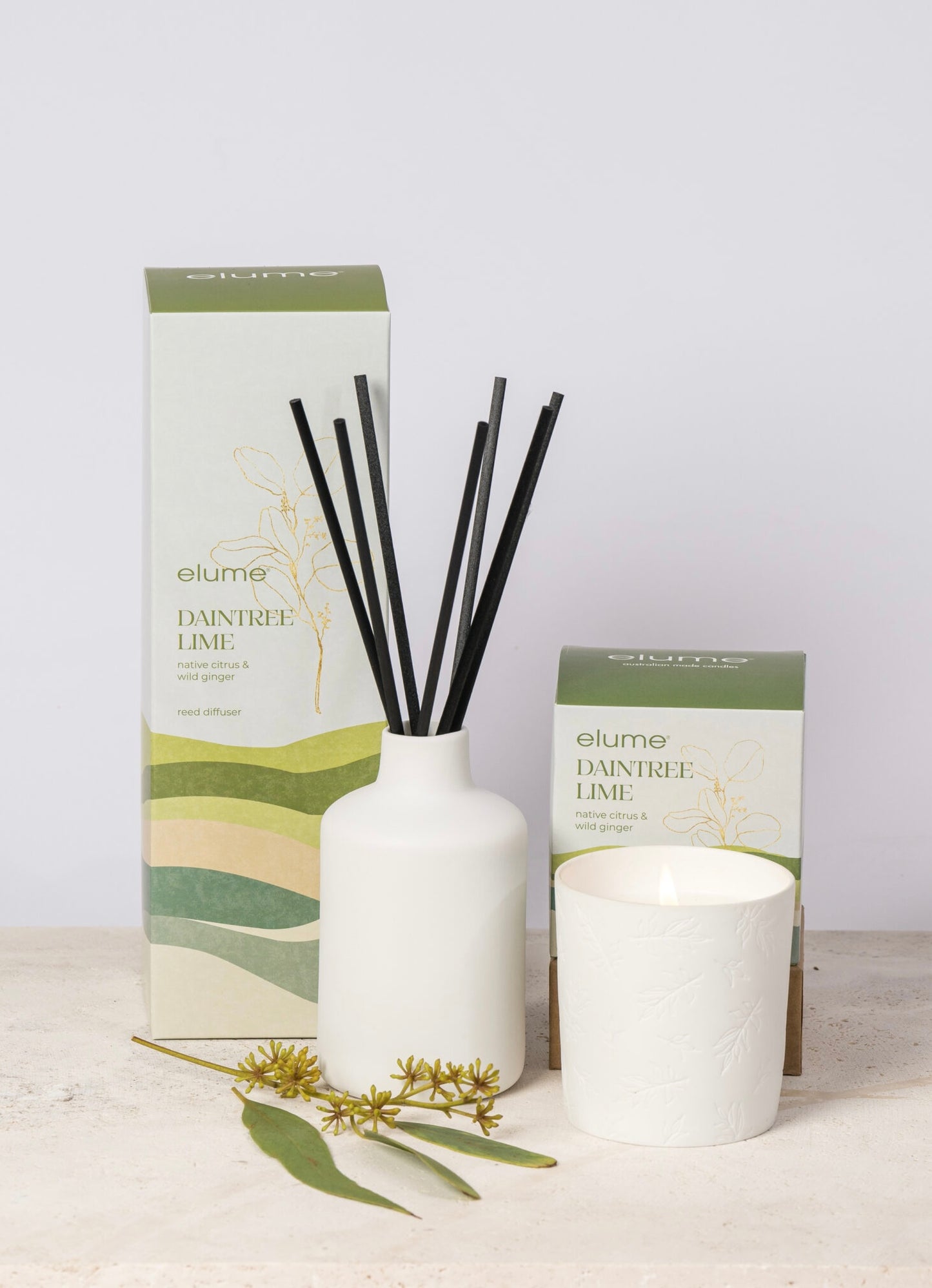 Elume Australian Escapes: Daintree Lime Soy Candle